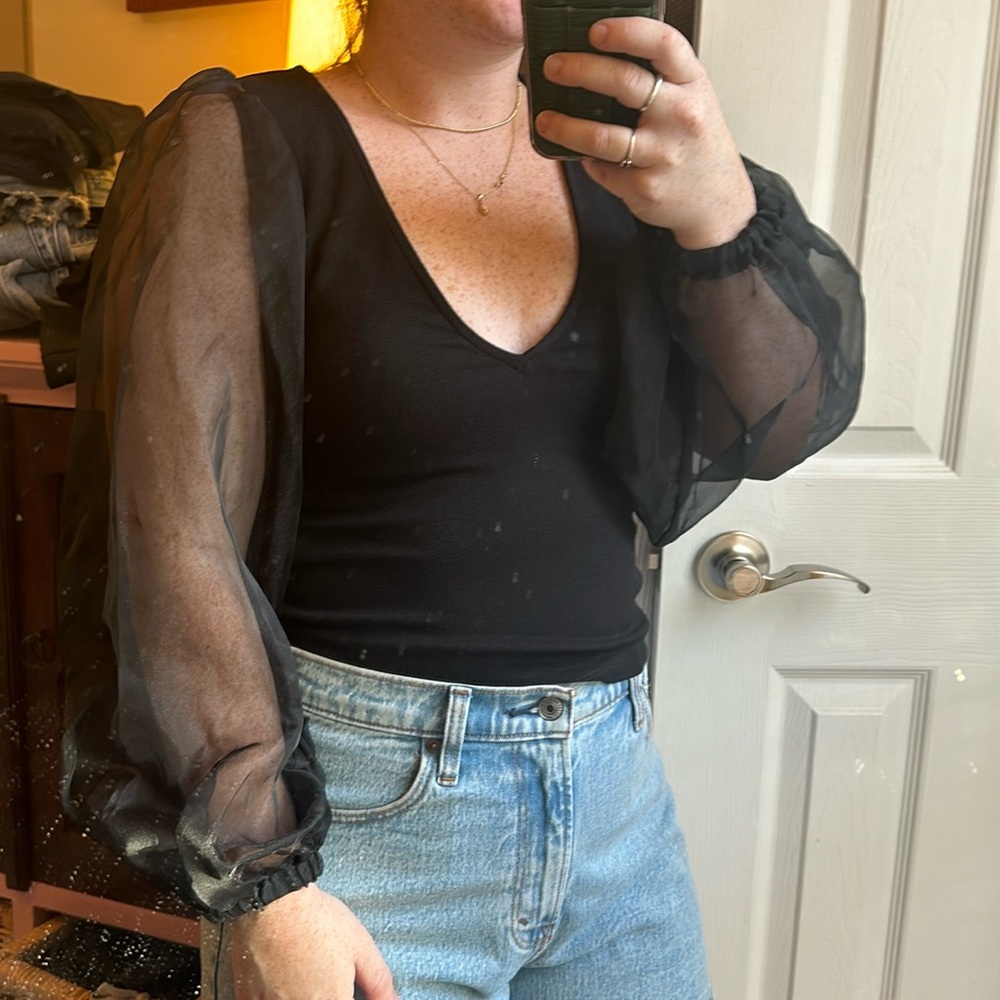 Zara Puff Sheer Sleeve V Neck Top
